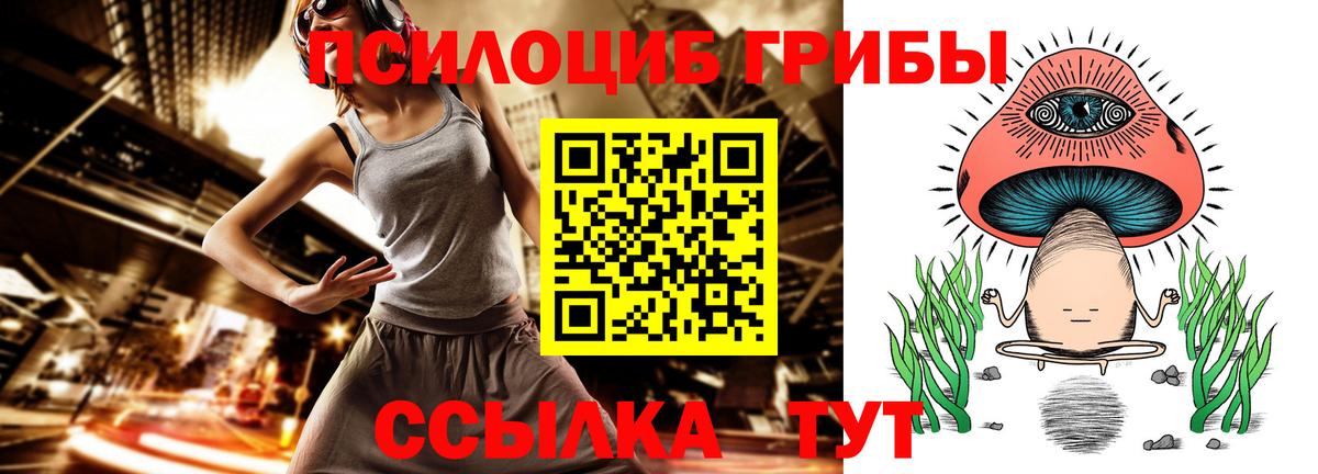 Псилоцибиновые грибы Psilocybine cubensis Торжок