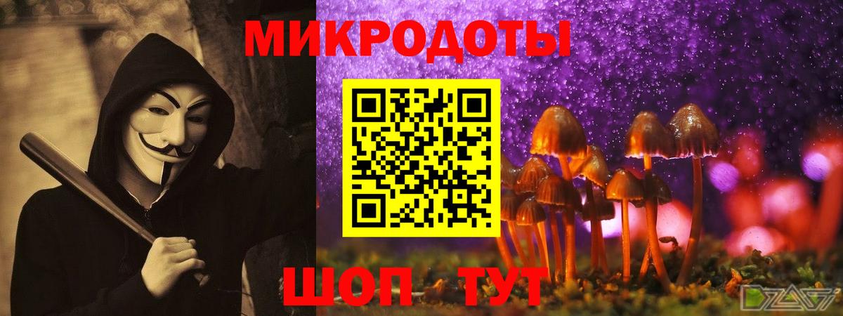 Торжок  Галлюциногенные грибы прущие грибы  Вход с VPN 
