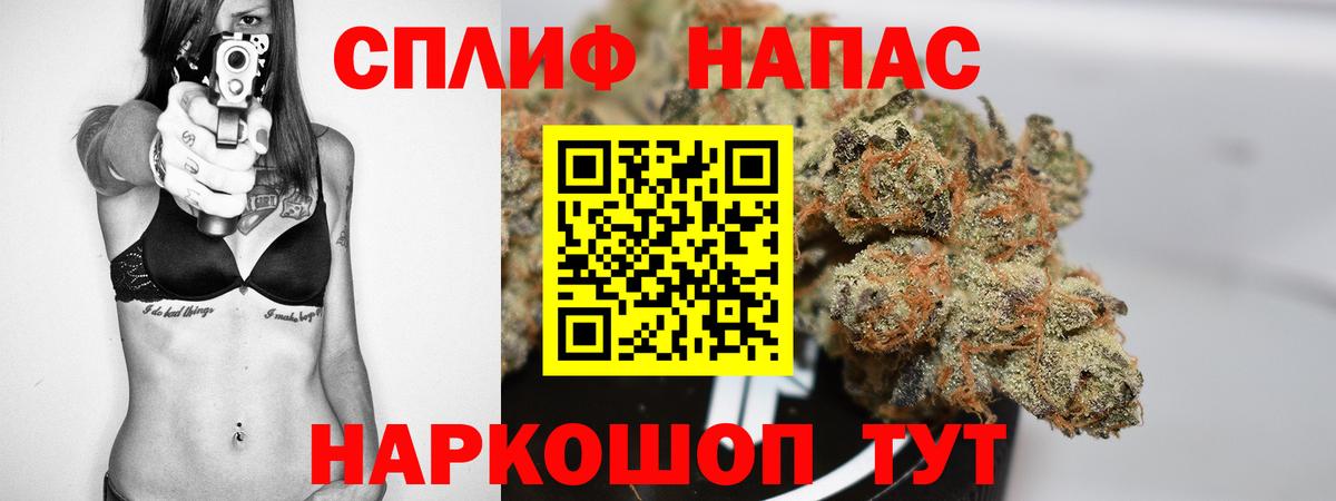 Канабис конопля Торжок